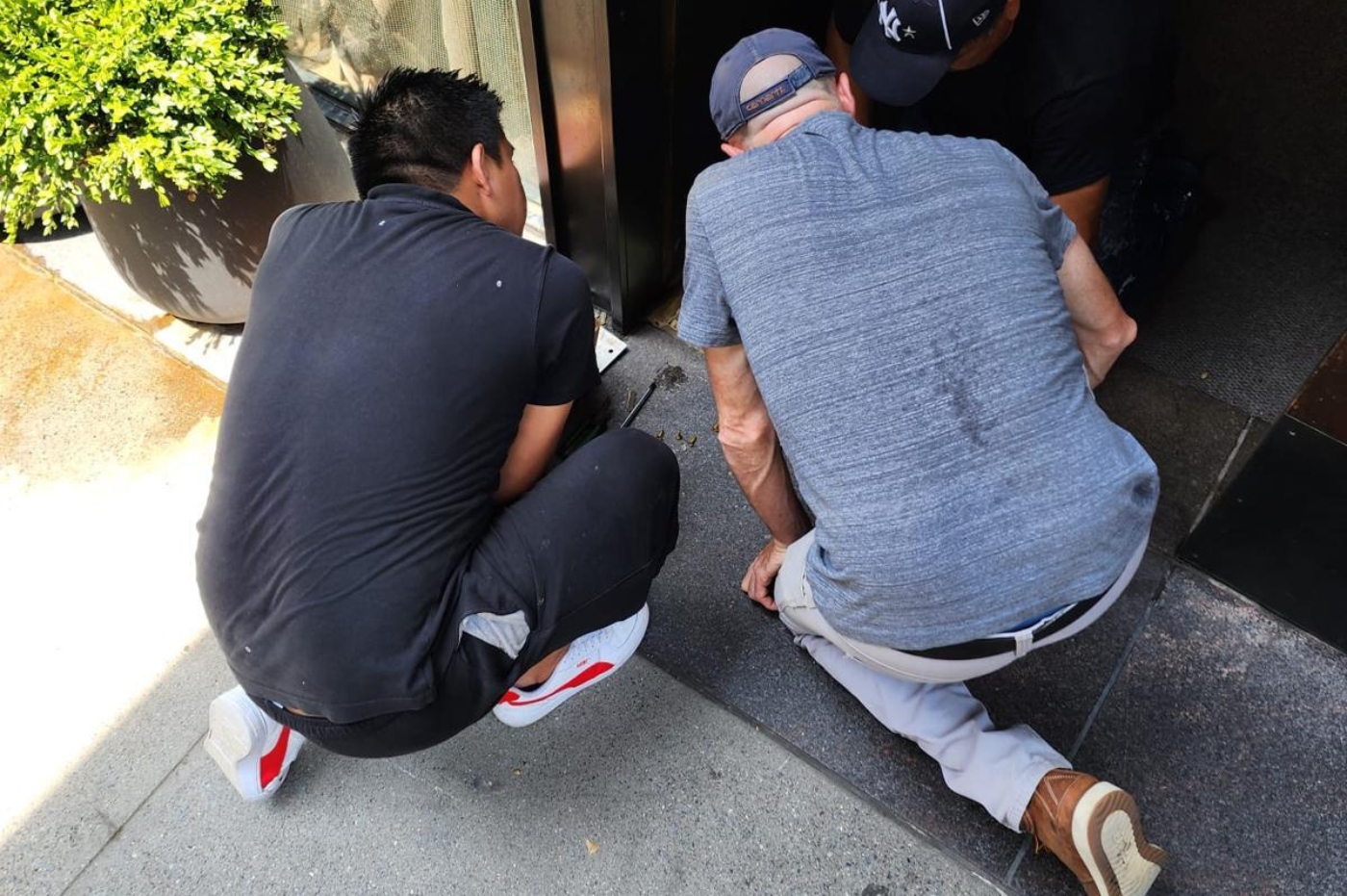 Three people crouch closely, examining or working on something near a doorway. A large potted plant is visible on the left, set on a concrete surface.